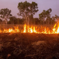 Developing a Fire Risk Management Plan