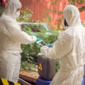 Proper Disposal of Hazardous Waste