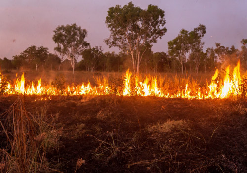 Developing a Fire Risk Management Plan